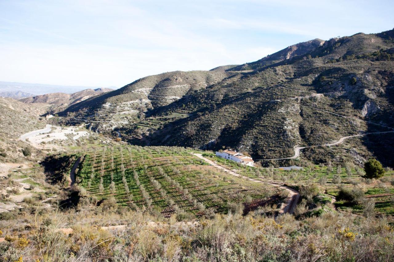 Cortijo El Rancho Villa Albanchez ภายนอก รูปภาพ