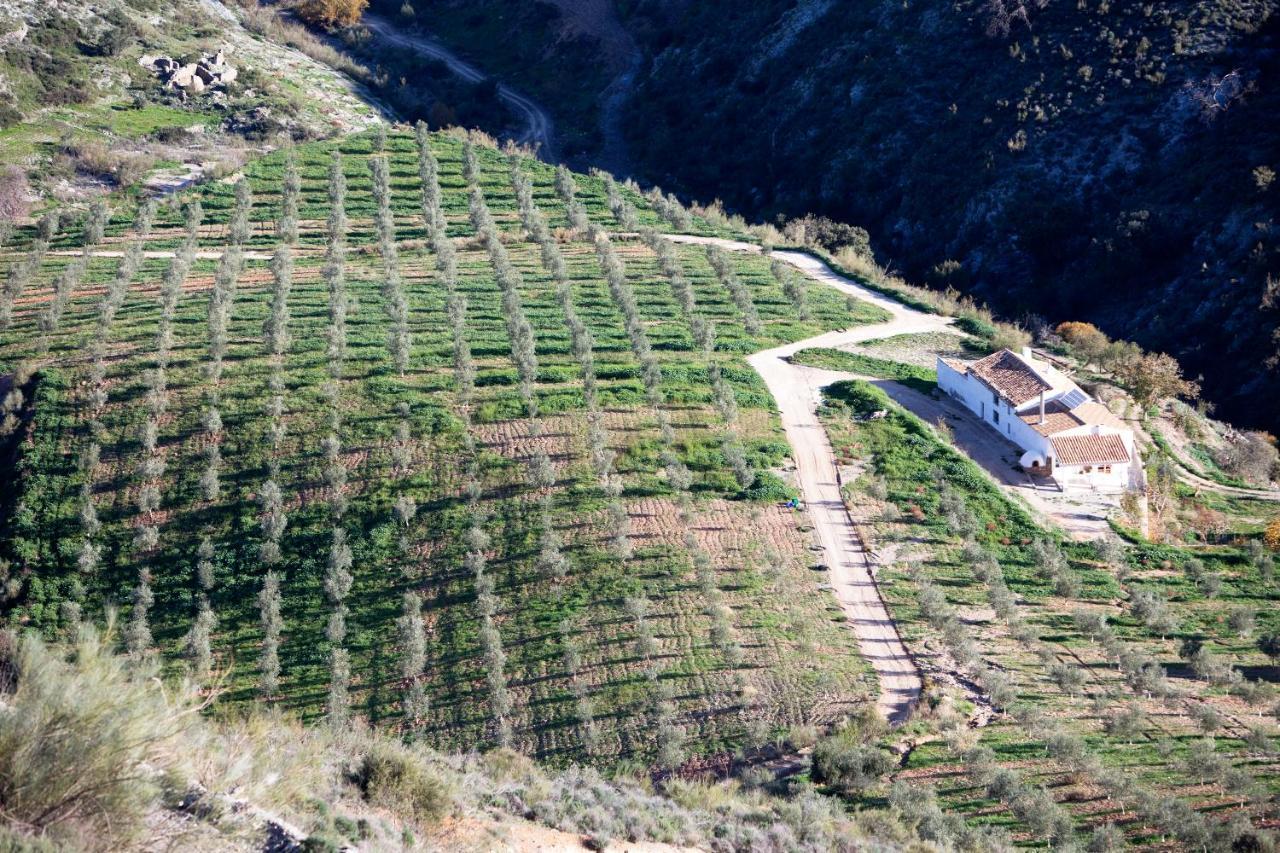 Cortijo El Rancho Villa Albanchez ภายนอก รูปภาพ